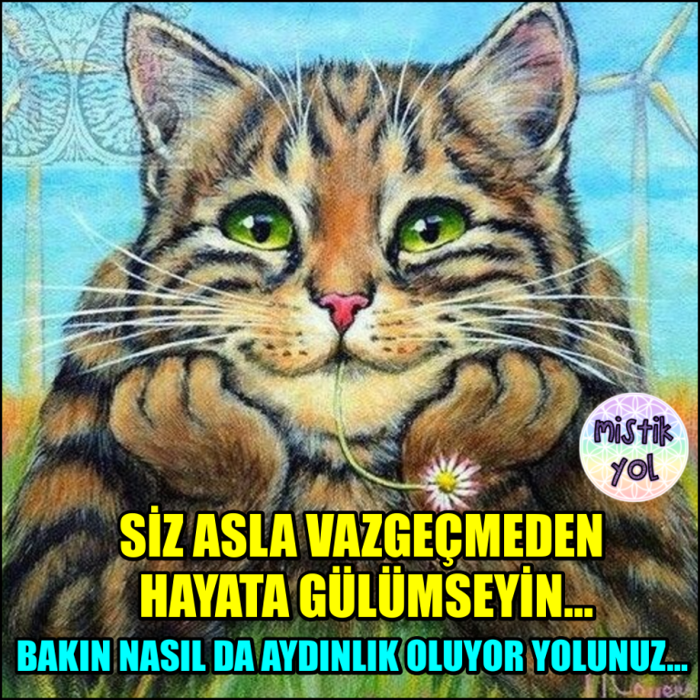 1684364119810.png