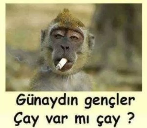 1685227107759.png