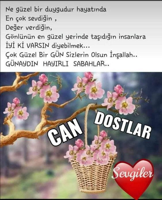 1708125114071.png