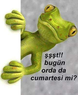 1710541798820.png