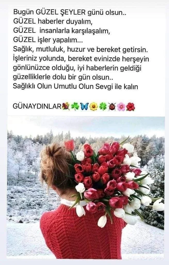 1740172441704.webp