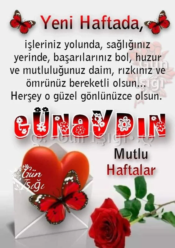 1740436924487.webp