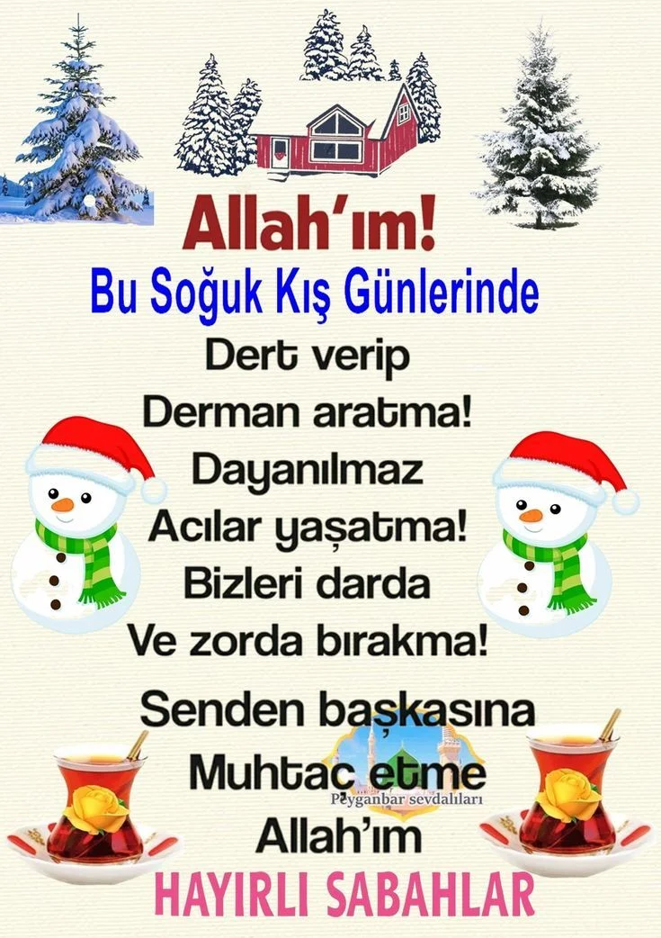 1740516430445.webp