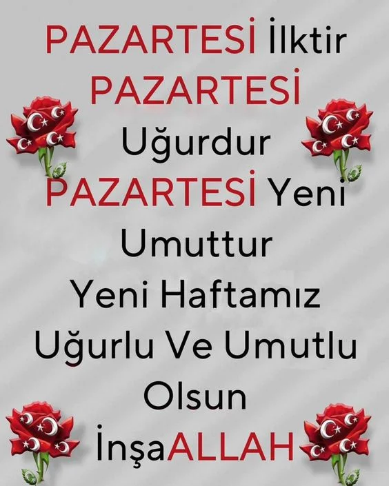 1740954575004.webp