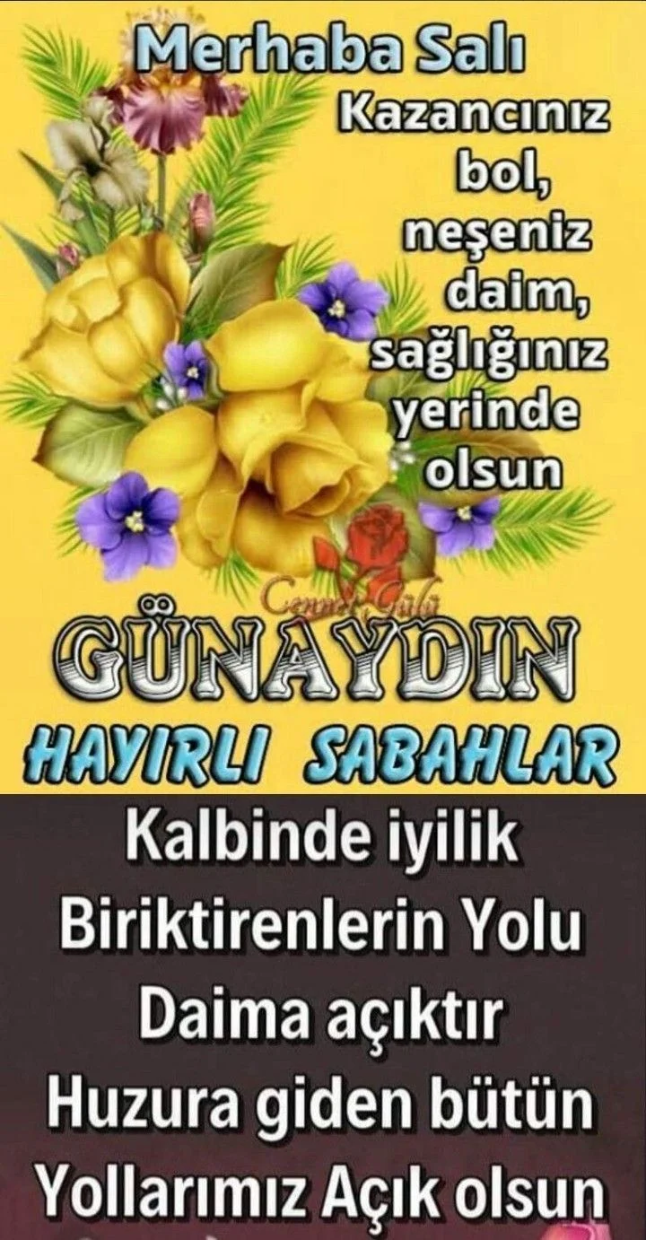 1741645580777.webp