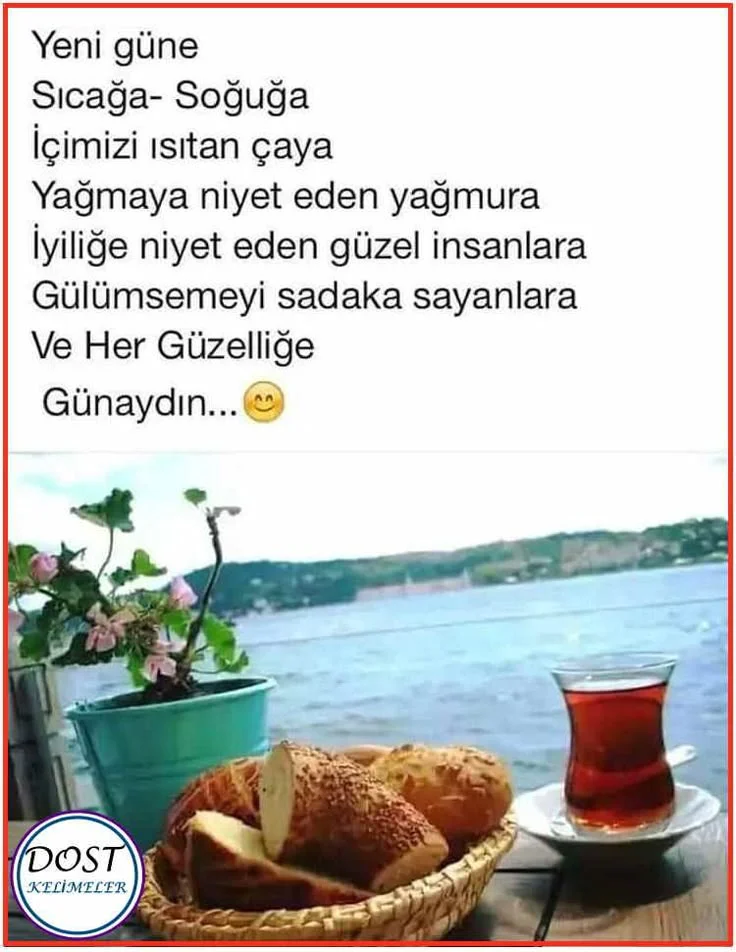 1742254020317.webp