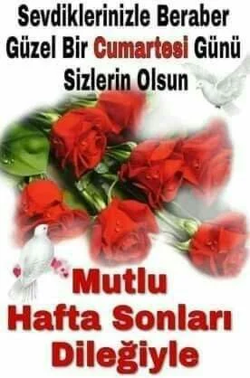 1745627119820.webp