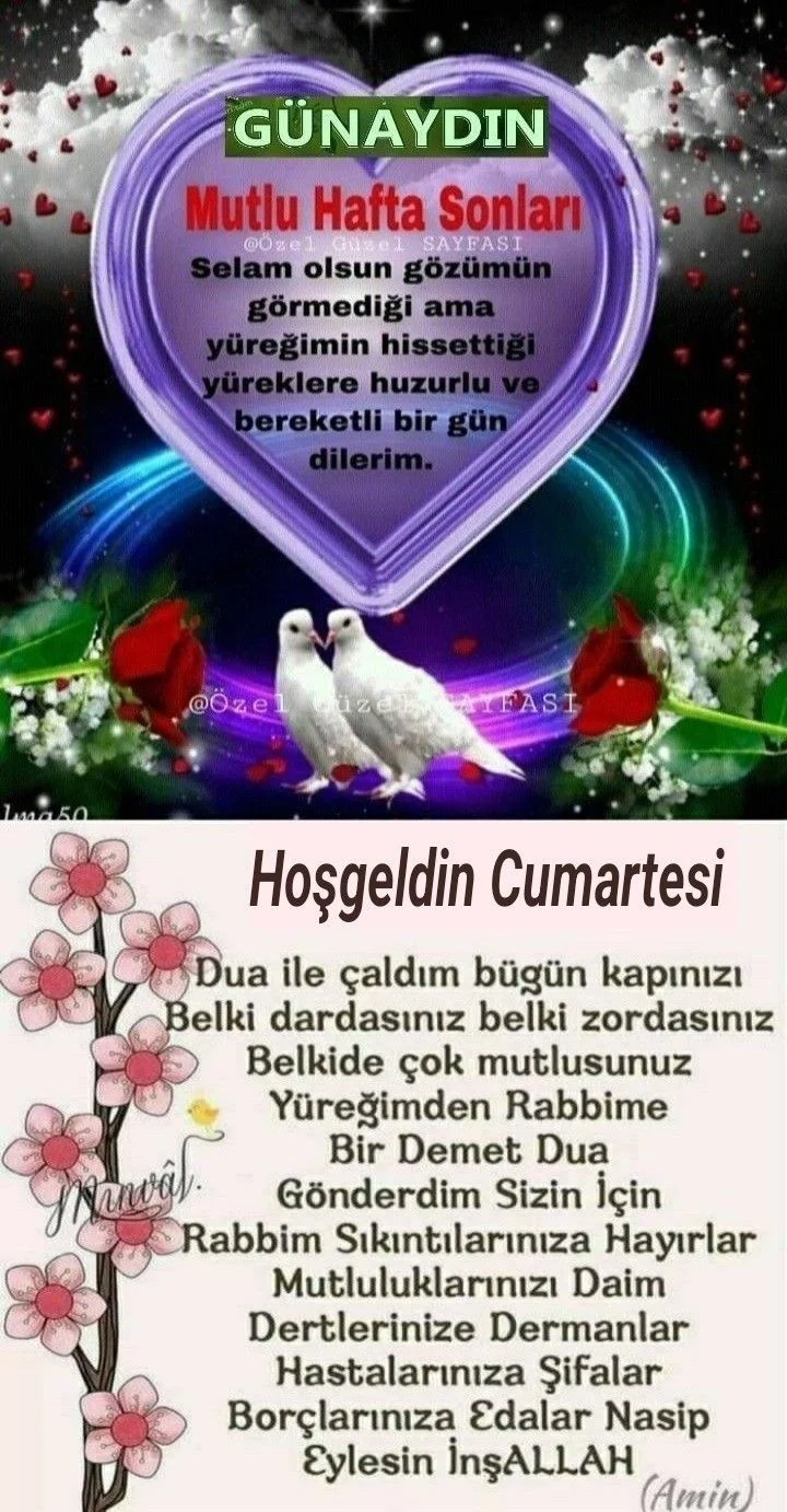 1746222212299.webp