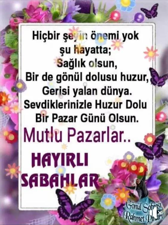 1746311312169.webp