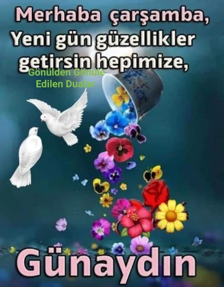 1747177545013.webp