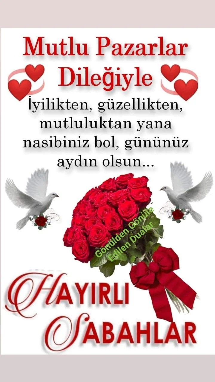 1747519010217.webp