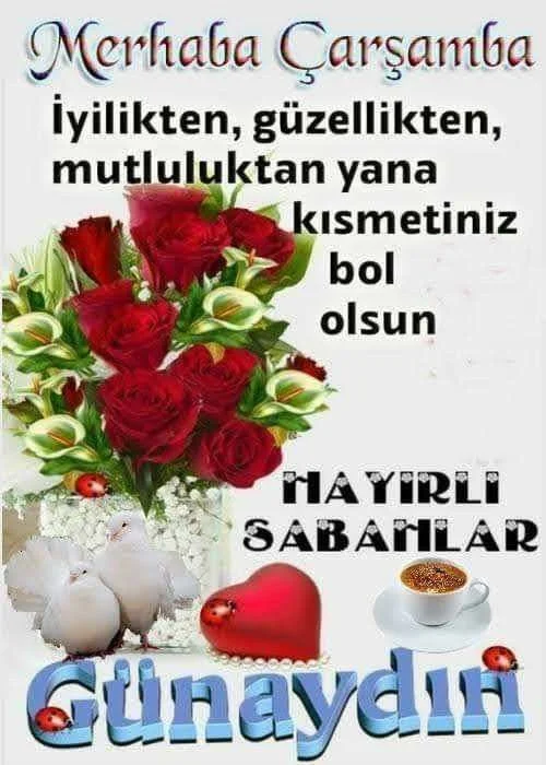 1748988039253.webp