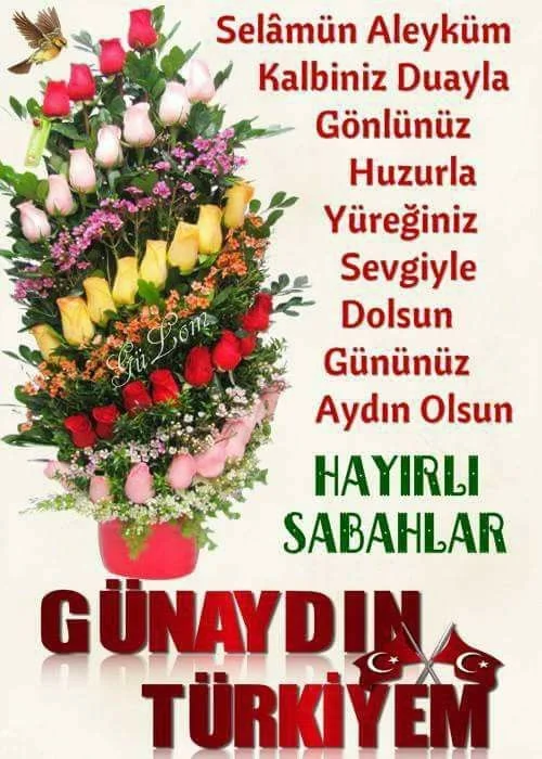 1749423446966.webp