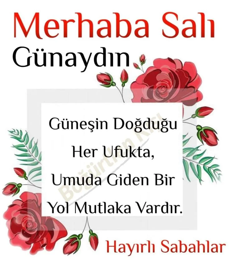 1780958242030.webp
