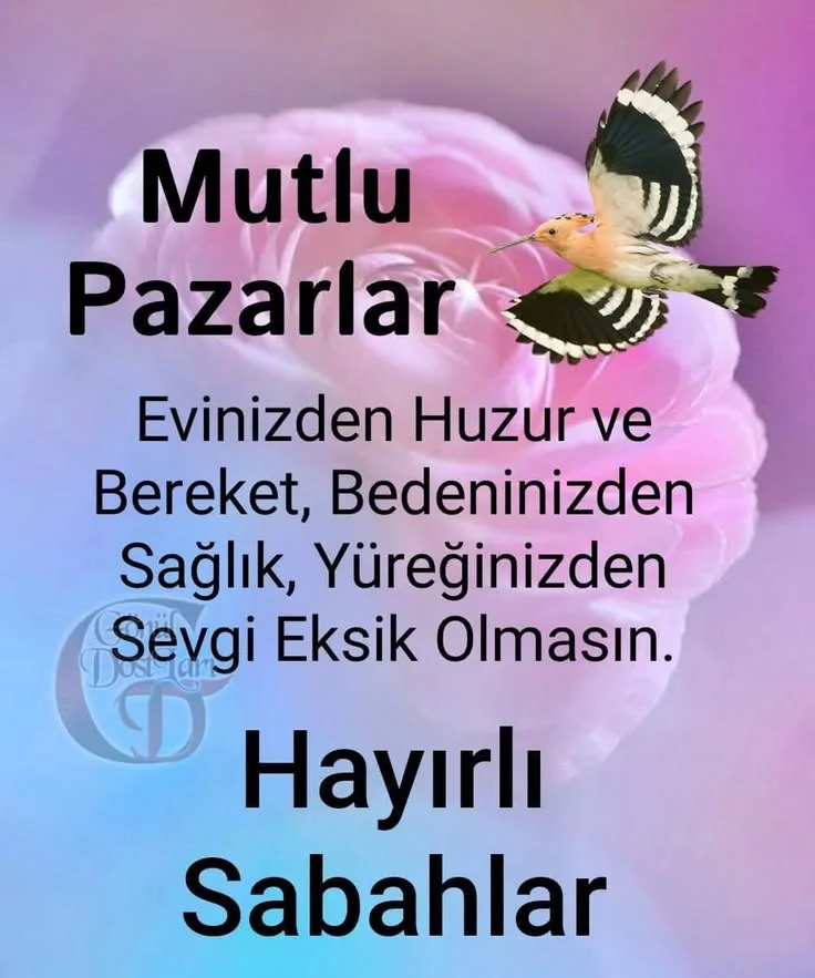 1781388301657.webp