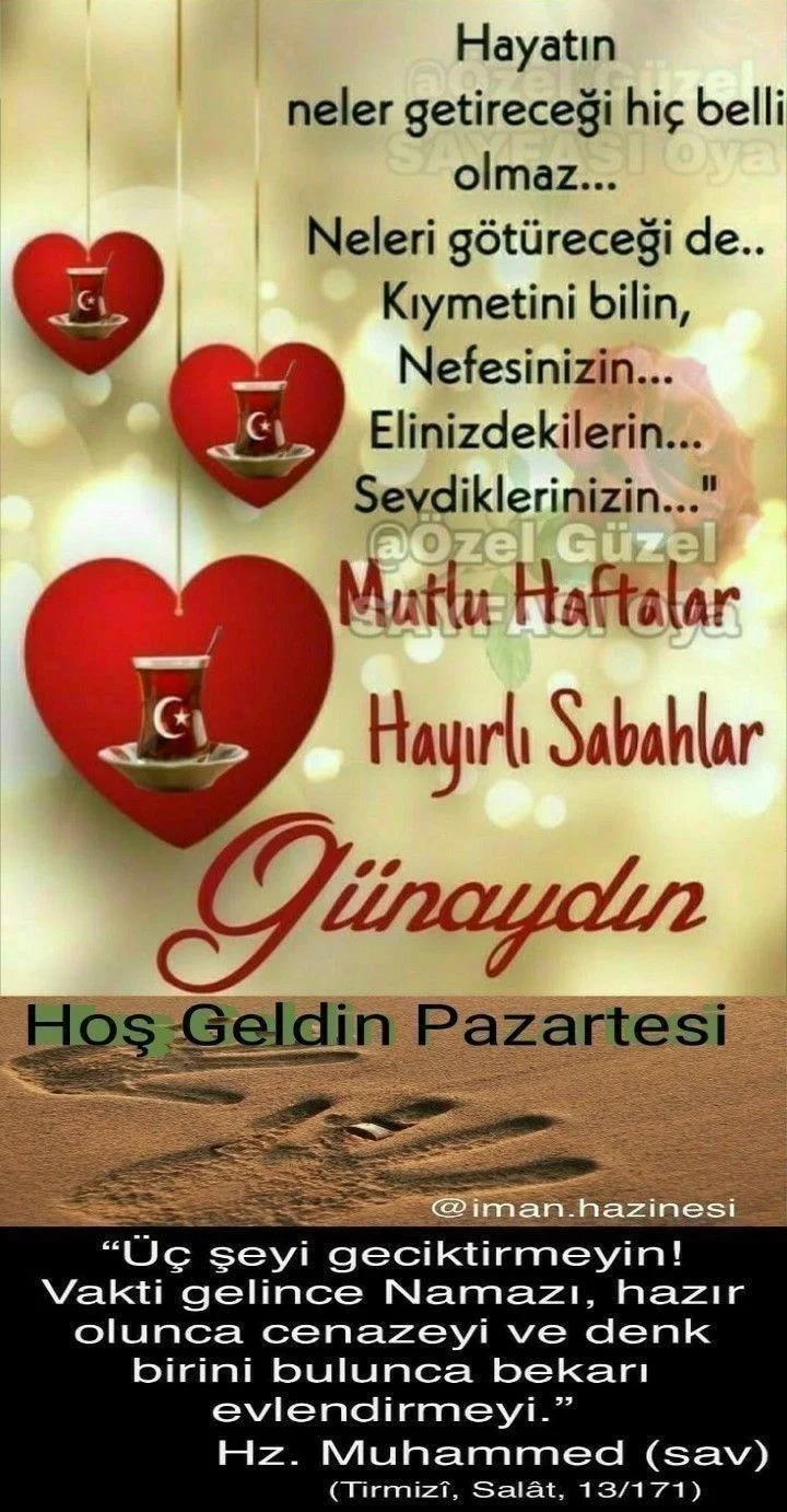 1781480834136.webp