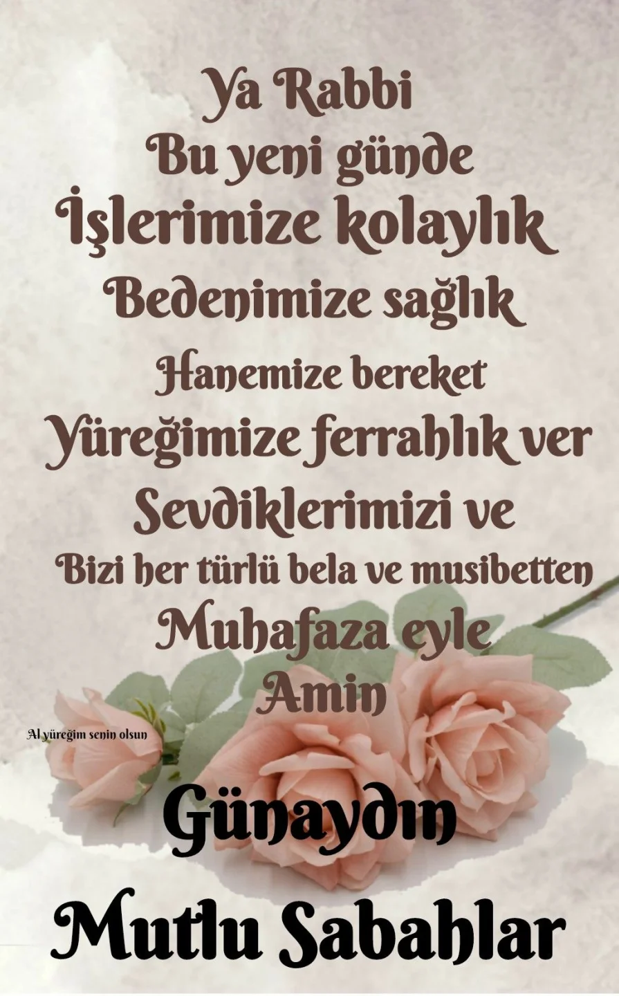 1781559703378.webp