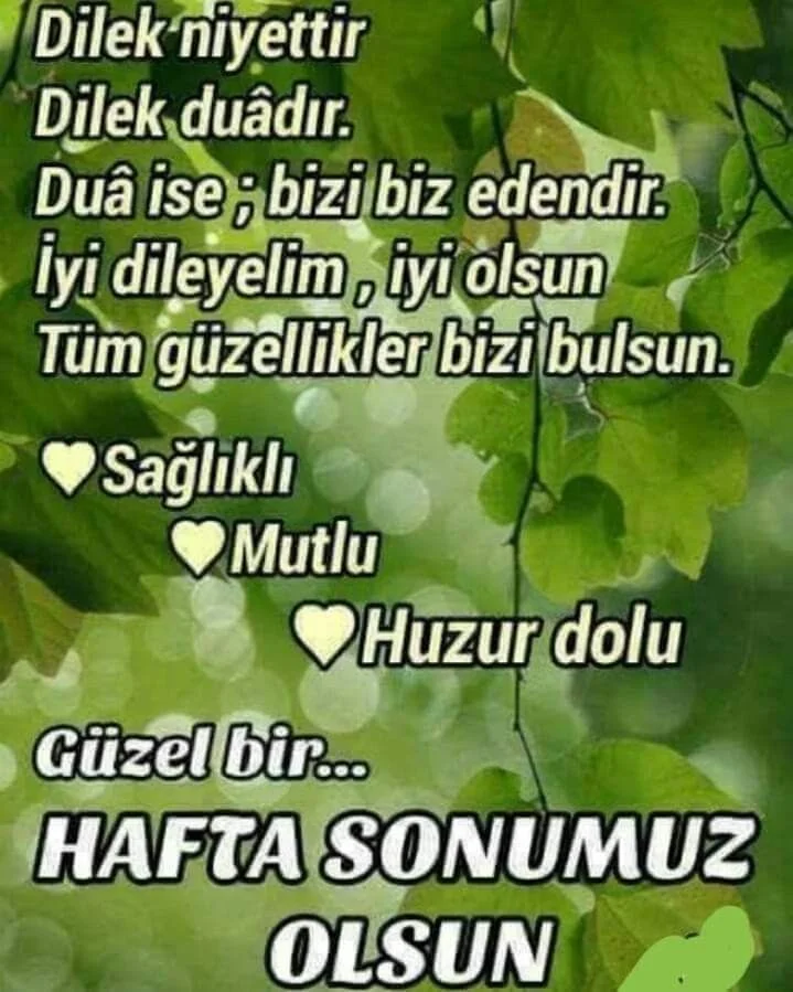 1781906385211.webp