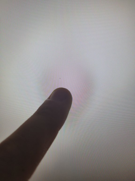 20230925_194532.jpg