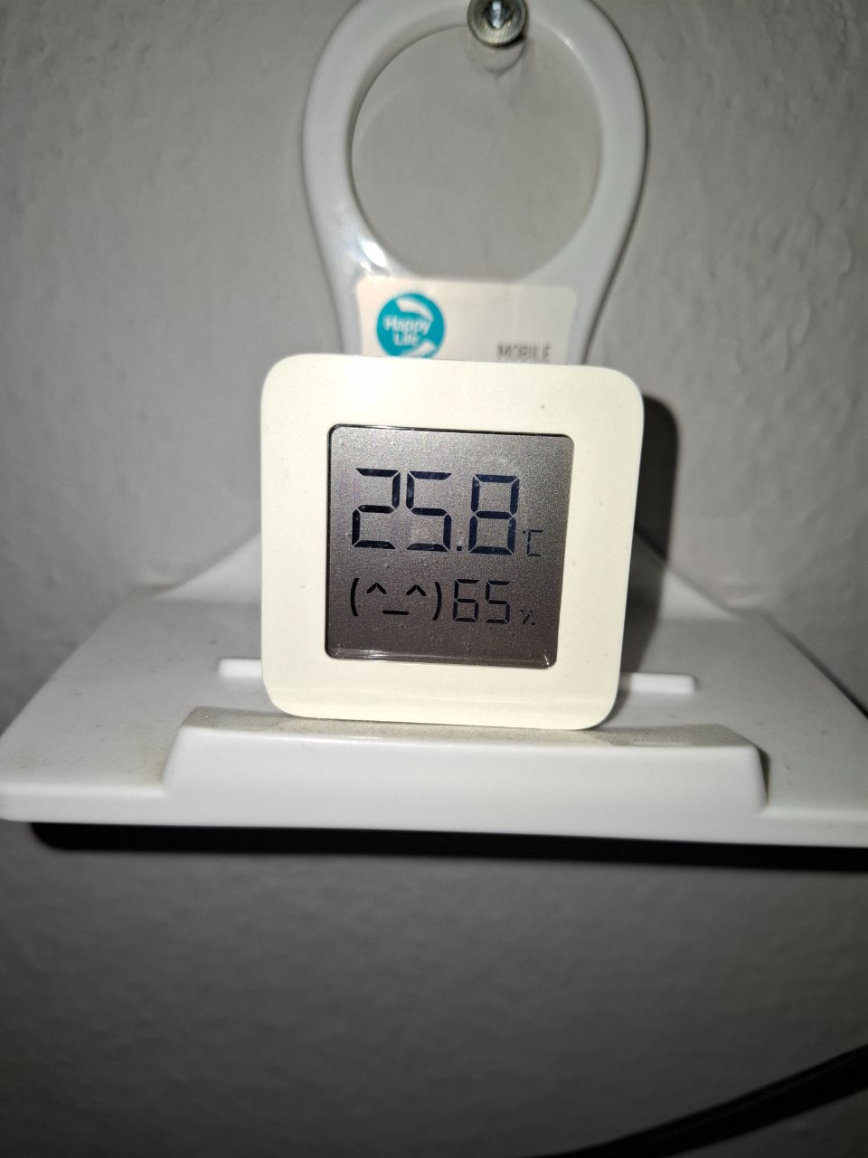 20240906_123542.jpg