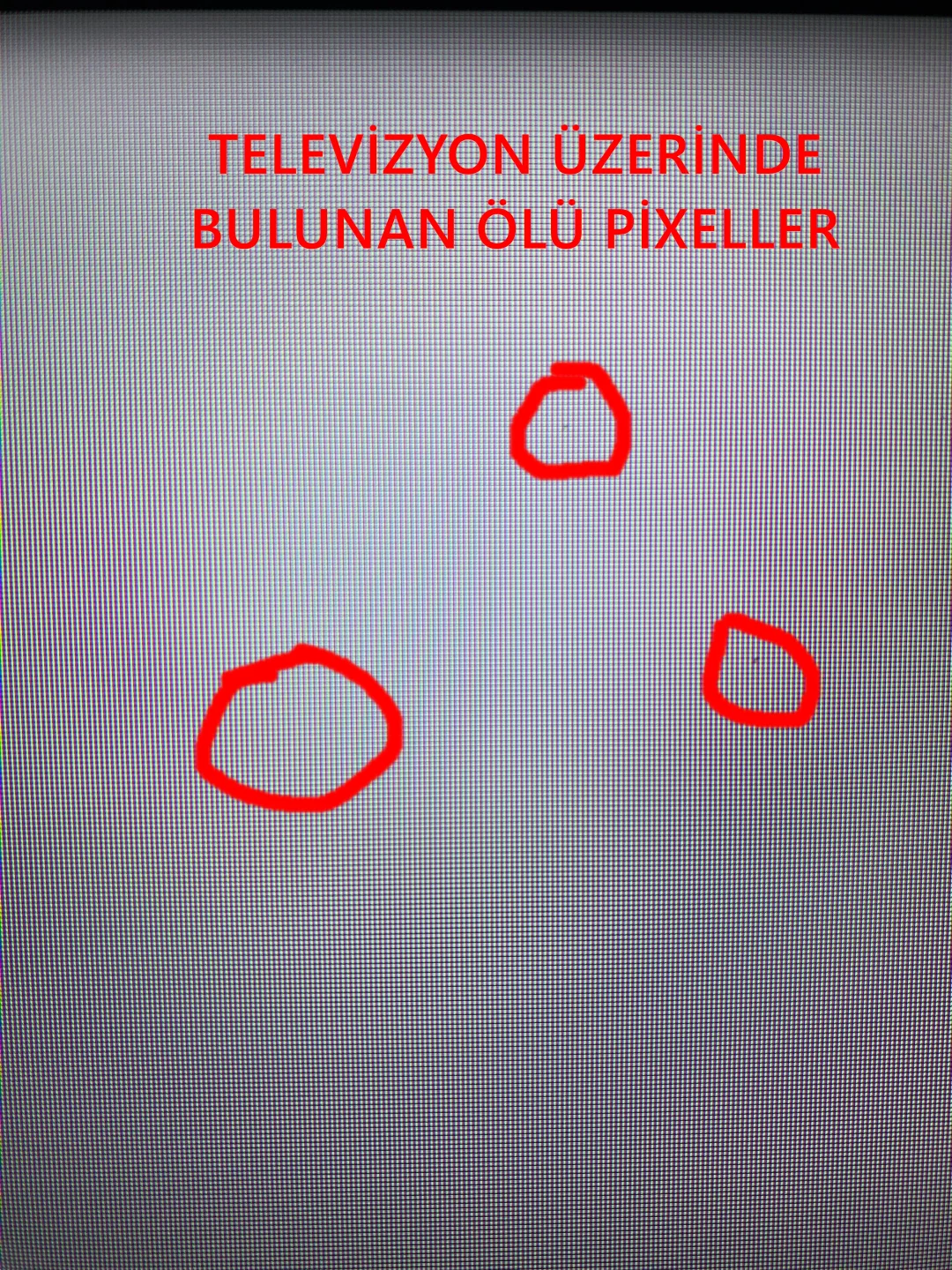 4.webp