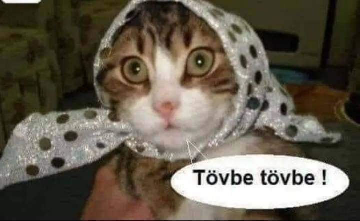 FB_IMG_1708935583164.jpg