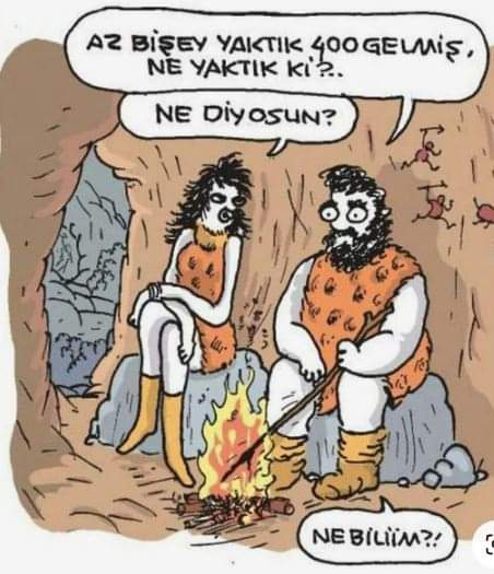 FB_IMG_1728156393543.jpg