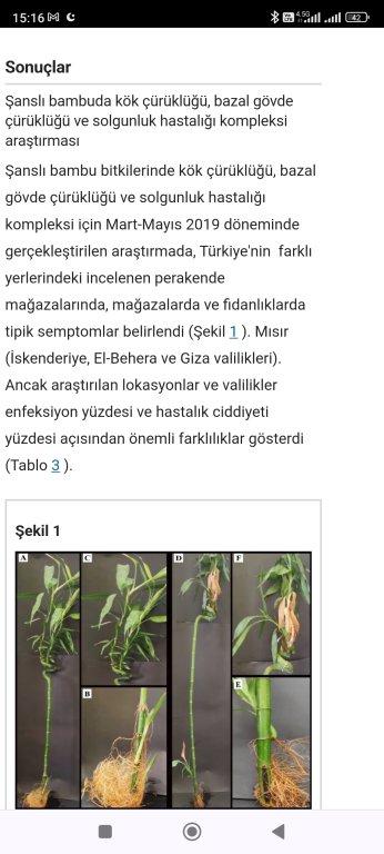 Screenshot_2024-04-01-15-16-22-191_com.android.chrome.jpg