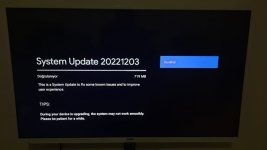 RealMe Stick 4K güncelleme 2023 doğrulama.jpg