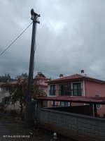 IMG_20231207_080358.jpg