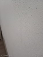 IMG_20231124_231719.jpg