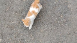 IMG_20231224_09325655.jpeg
