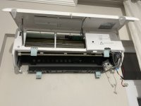 IMG_2700.jpeg