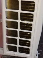 IMG_20240113_080434.jpg