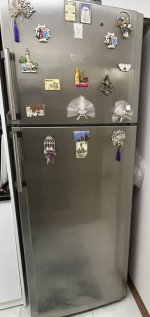 IMG_7653.jpeg