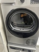 IMG_2571.jpeg