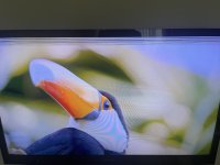 IMG_7911.jpeg