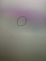IMG_0009.jpeg