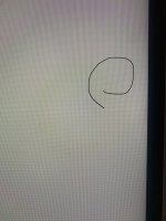 IMG_0007.jpeg