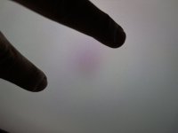 IMG_1731.jpeg