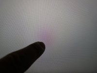 IMG_1729.jpeg