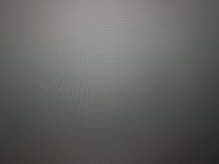 IMG_1728.jpeg
