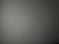 IMG_1727.jpeg