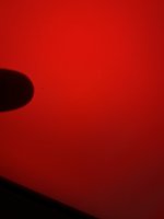 IMG_1732.jpeg