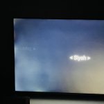IMG_1745.jpeg