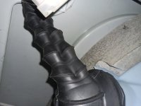 IMG_20240320_112403.jpg