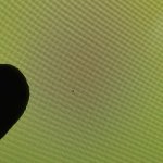 IMG_1864.jpeg
