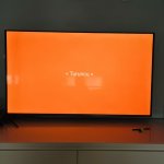 IMG_1852.jpeg