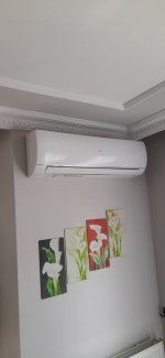 20240420_135534.jpg