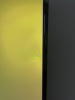IMG_9768.jpeg